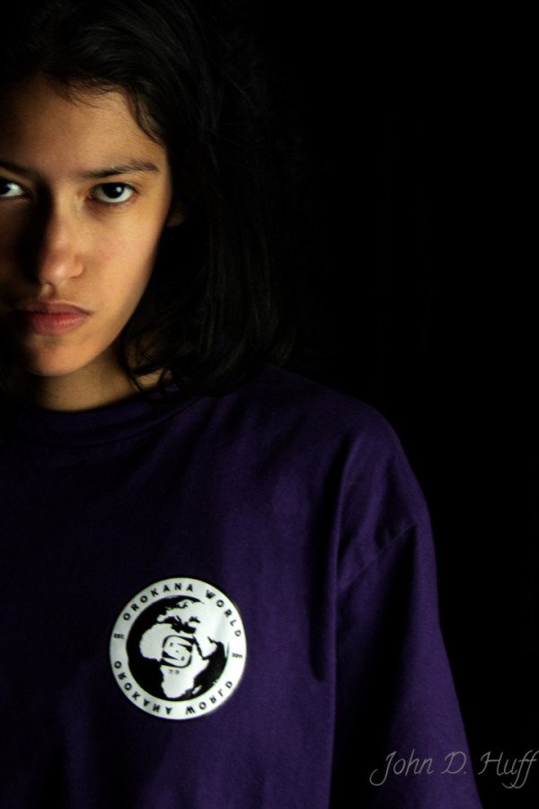 Bullet Models model ID: 15790