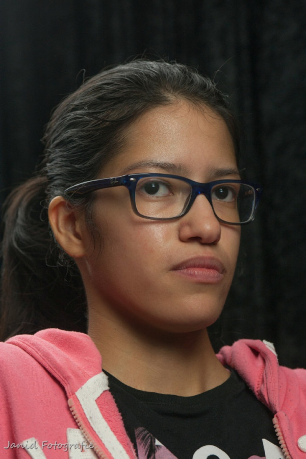 Bullet Models model ID: 15790