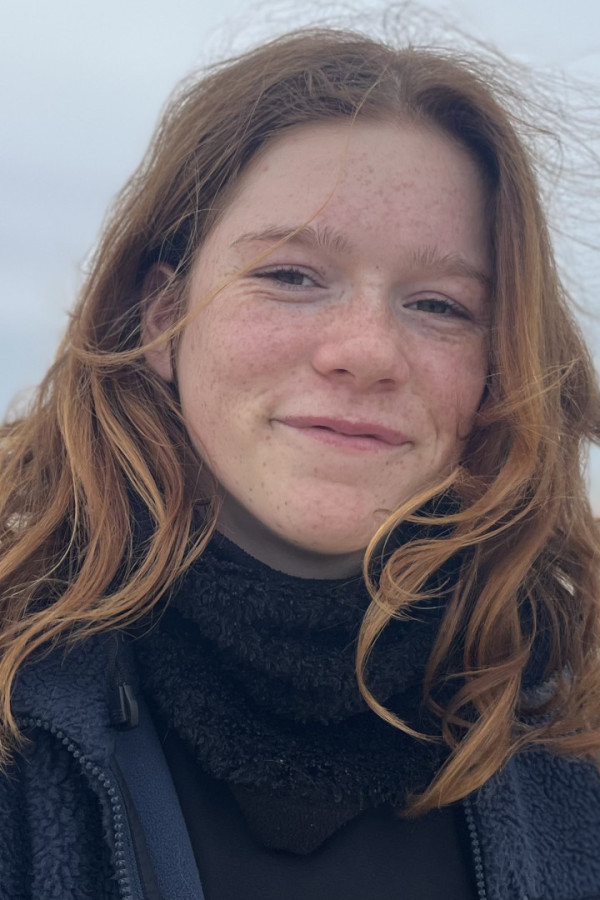 Bullet Models model ID: 16714