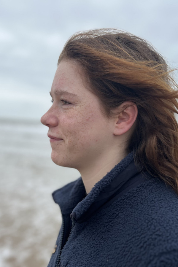 Bullet Models model ID: 16714