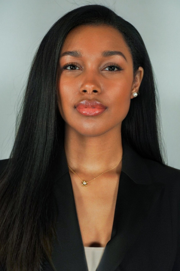 Bullet Models model ID: 20227