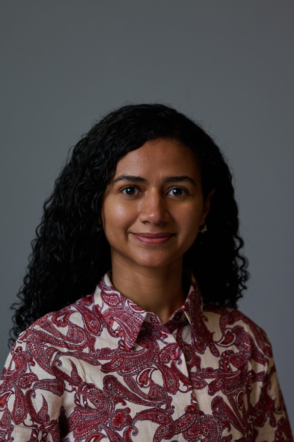 Bullet Models model ID: 20256