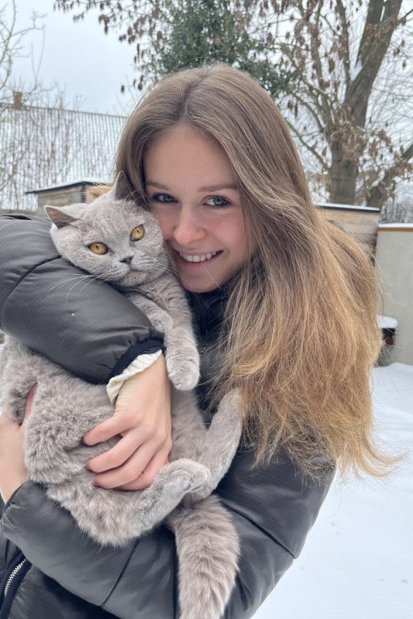 Bullet Models model ID: 14547