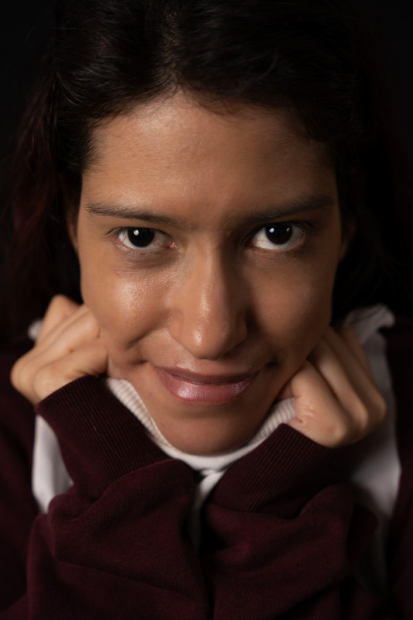 Bullet Models model ID: 15790