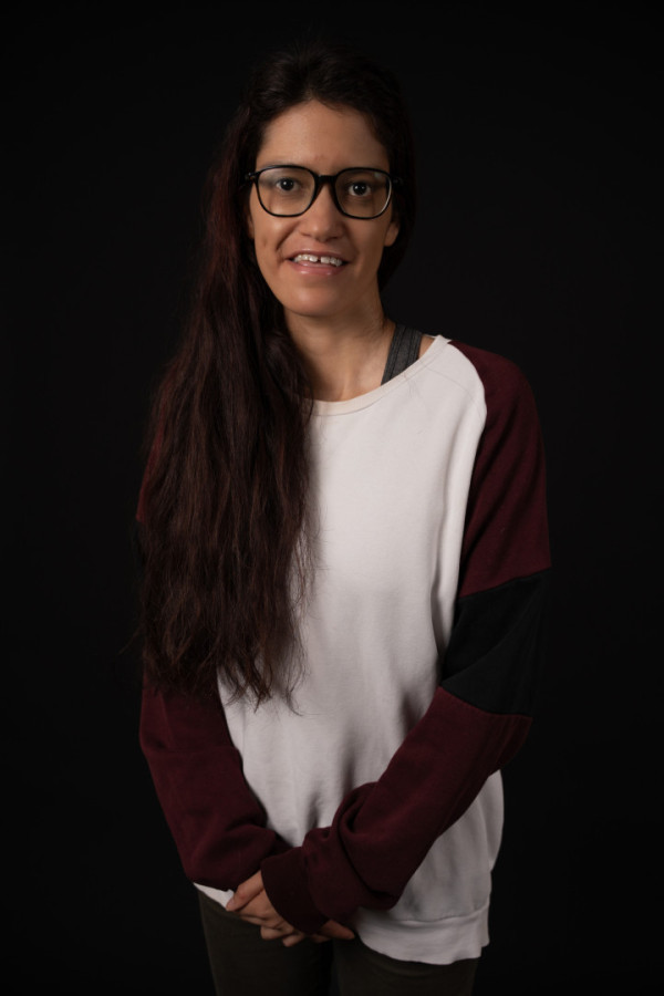 Bullet Models model ID: 15790