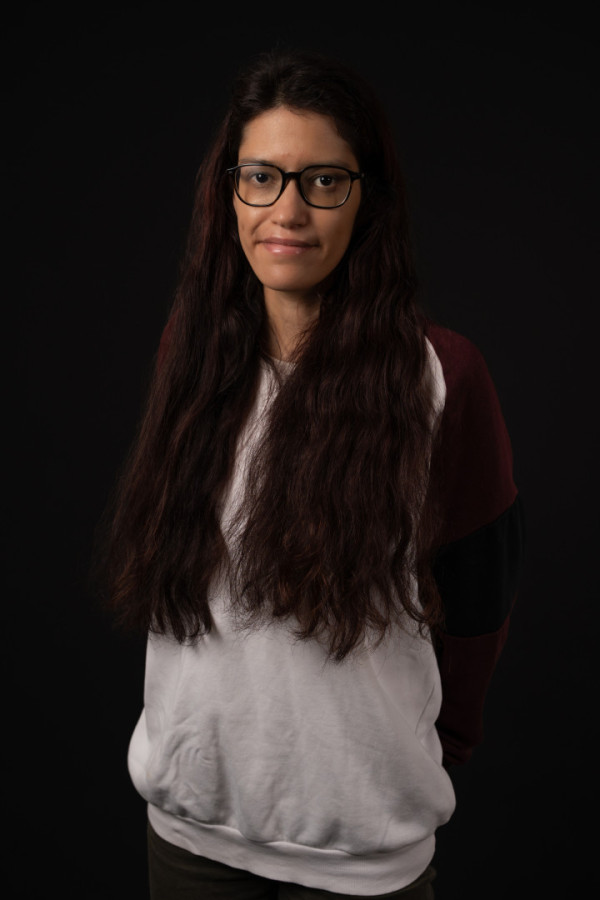 Bullet Models model ID: 15790