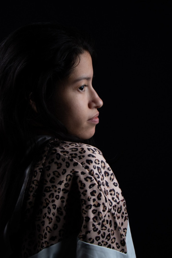 Bullet Models model ID: 15790