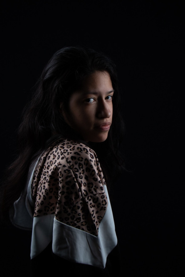 Bullet Models model ID: 15790