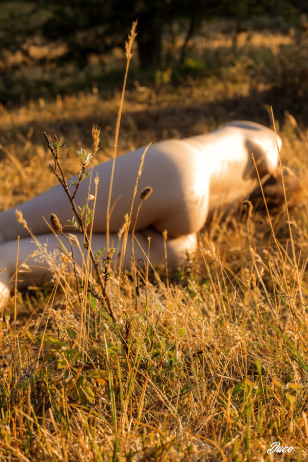 Bullet Models model ID: 15790