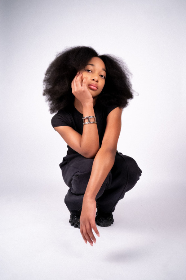 Bullet Models model ID: 17039