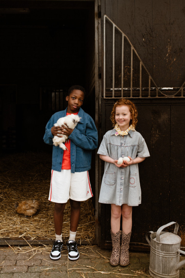 Bullet Models model ID: 17328