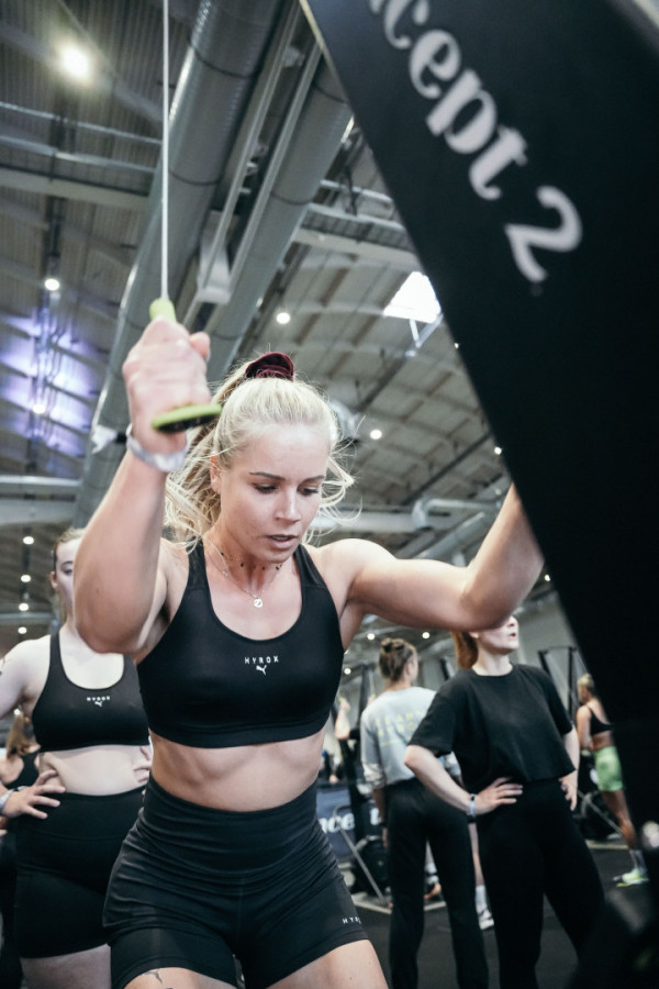 Bullet Models model ID: 20663