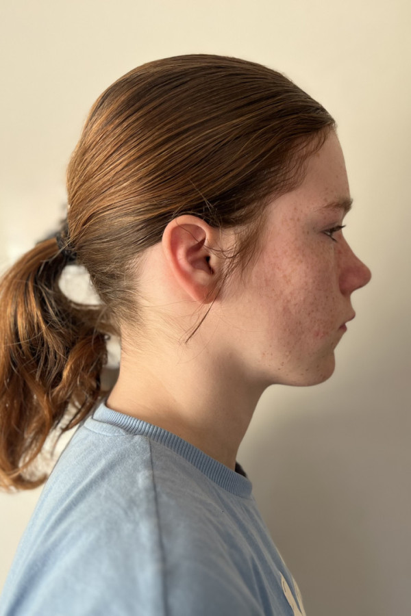 Bullet Models model ID: 16714