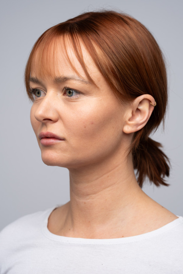 Bullet Models model ID: 20669