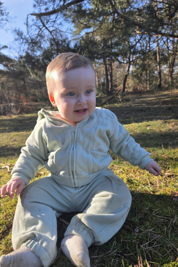 Bullet Models model ID: 20696