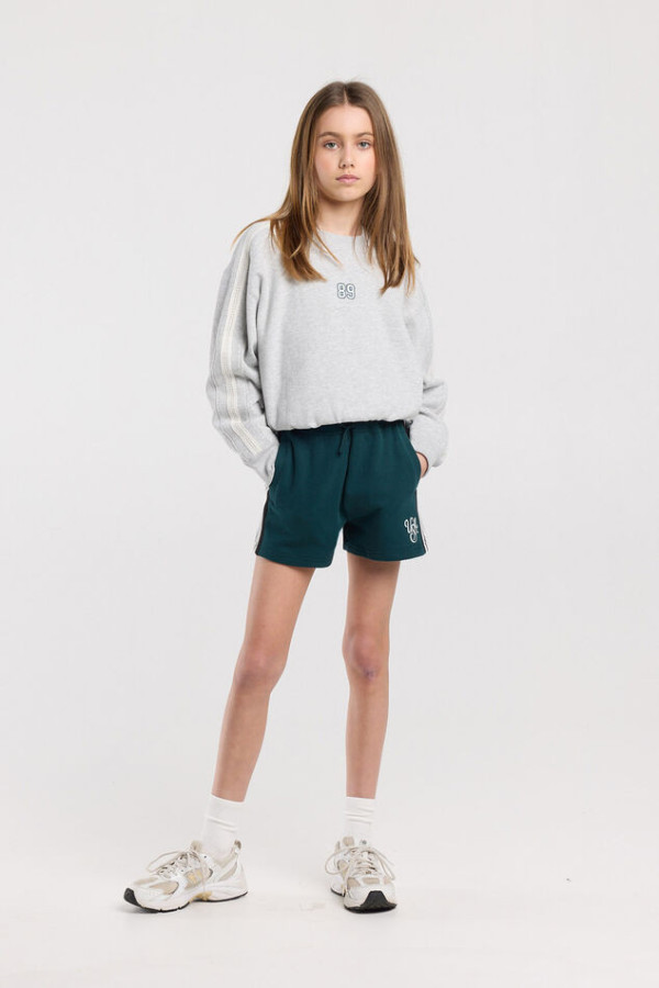 Bullet Models model ID: 20697