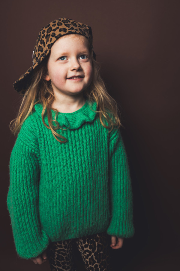 Bullet Models model ID: 20727