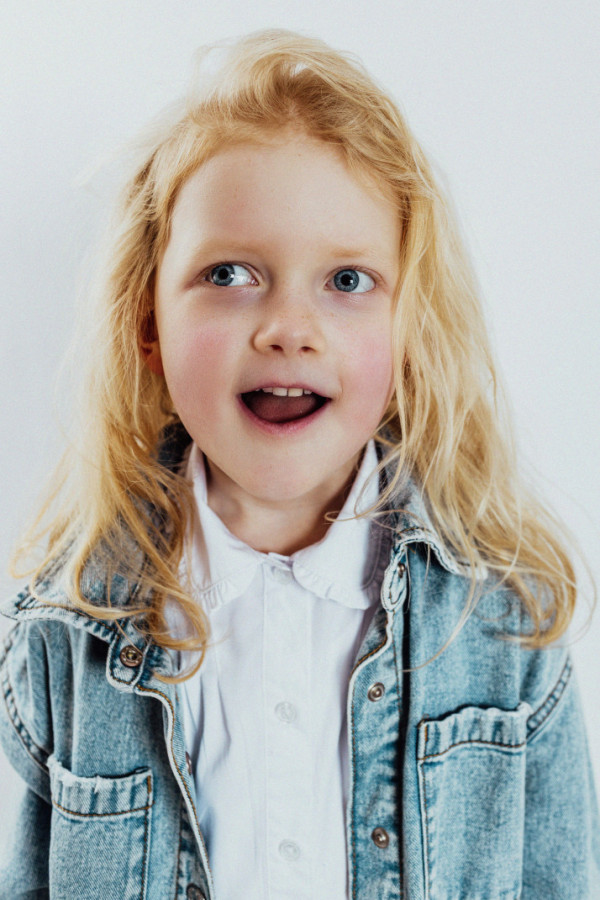 Bullet Models model ID: 20727