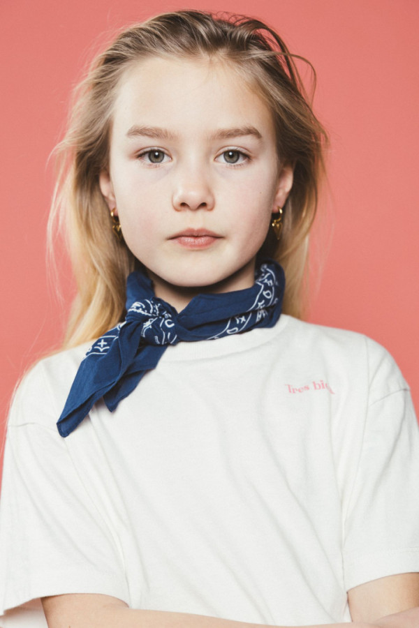 Bullet Models model ID: 20739