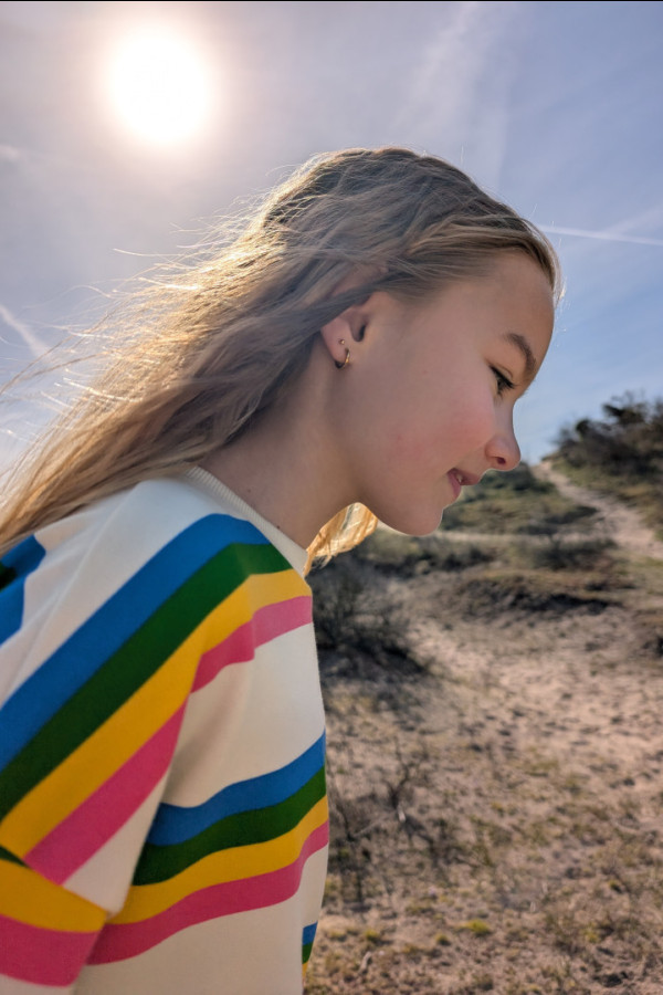 Bullet Models model ID: 20739