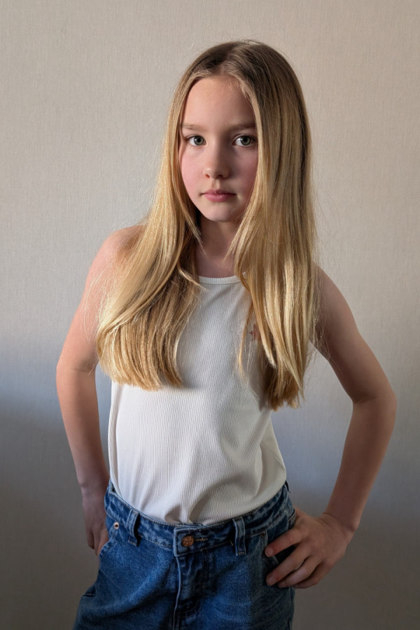 Bullet Models model ID: 20739