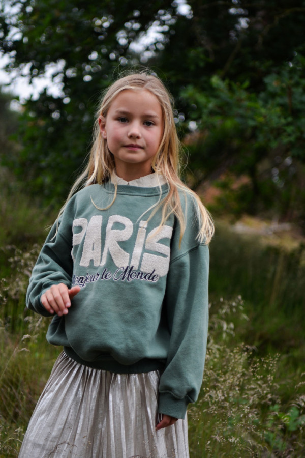 Bullet Models model ID: 20739