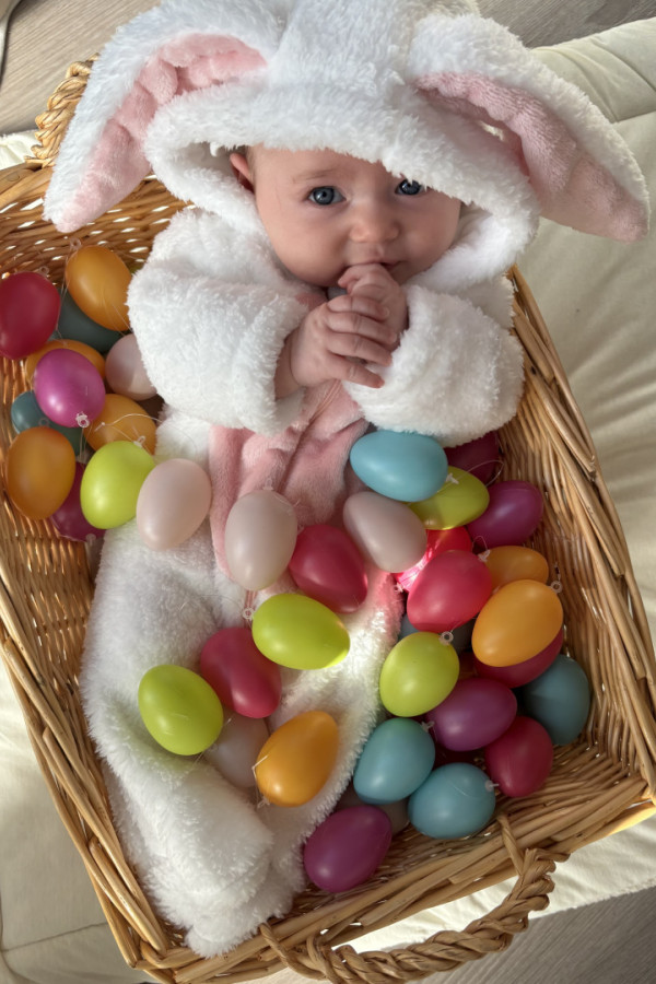 Bullet Models model ID: 20820