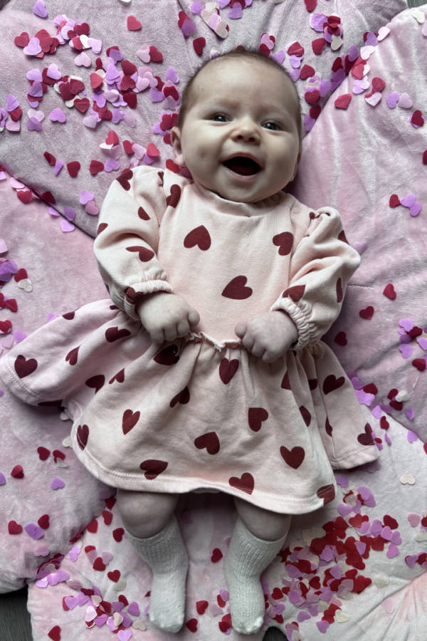 Bullet Models model ID: 20820