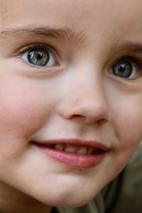 Bullet Models model ID: 20827