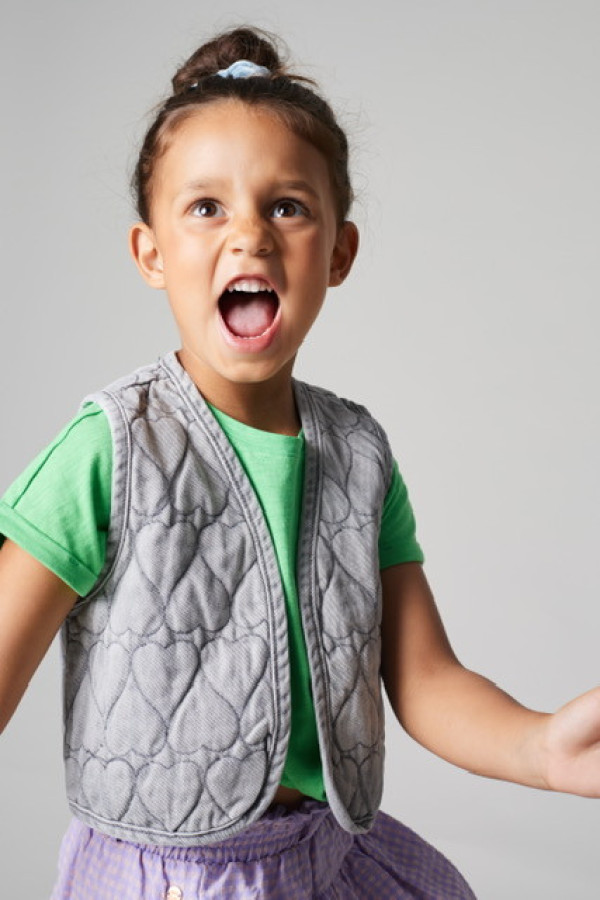 Bullet Models model ID: 20843