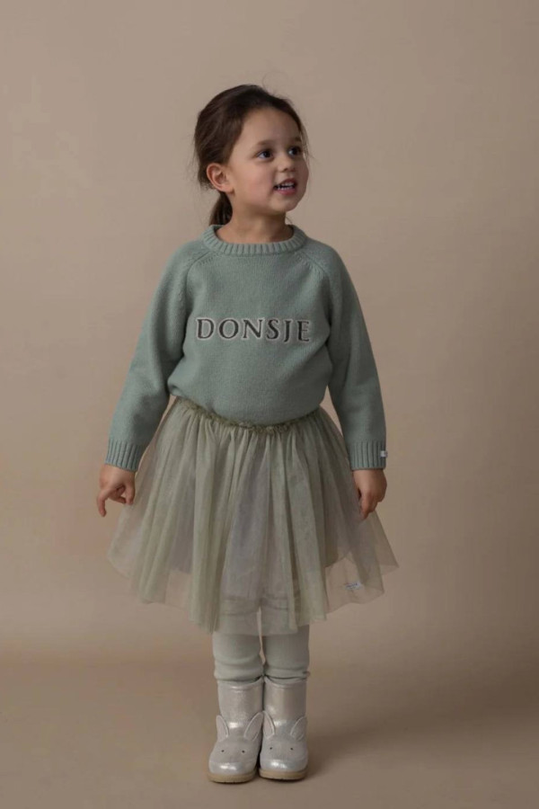 Bullet Models model ID: 20843