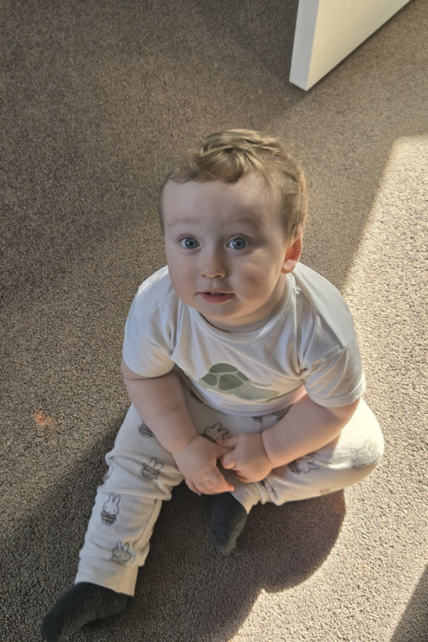 Bullet Models model ID: 20696