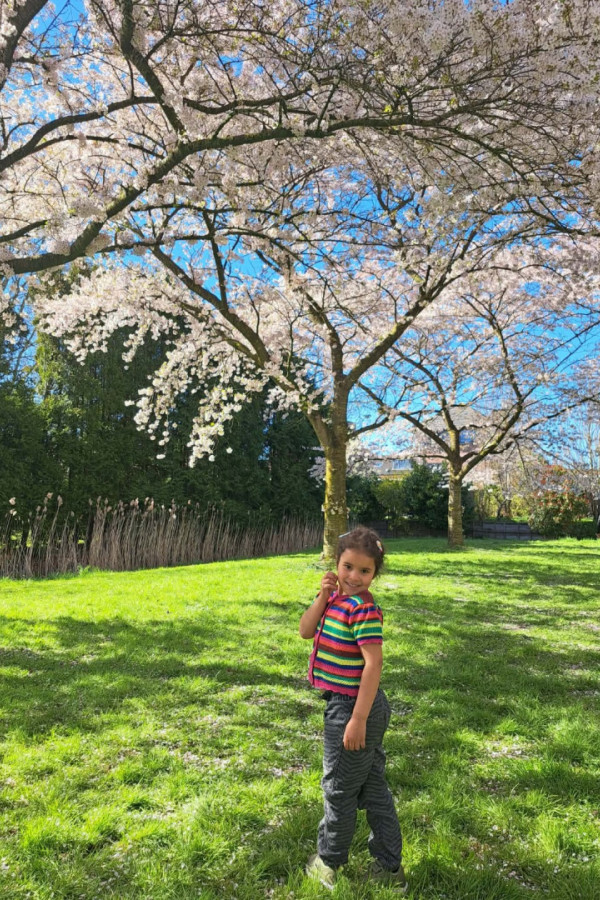 Bullet Models model ID: 20864