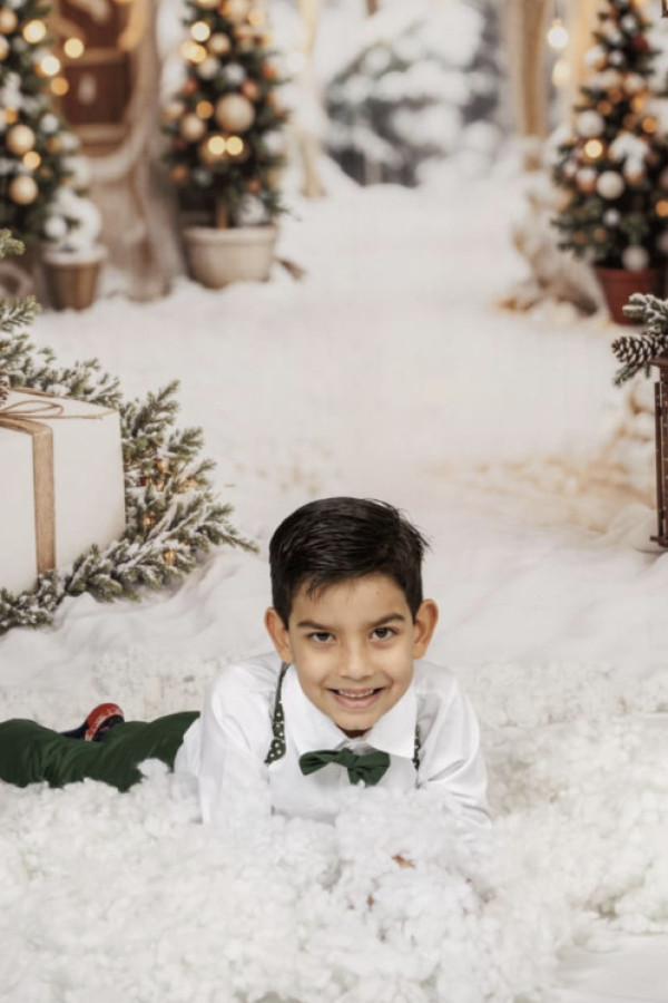 Bullet Models model ID: 20853