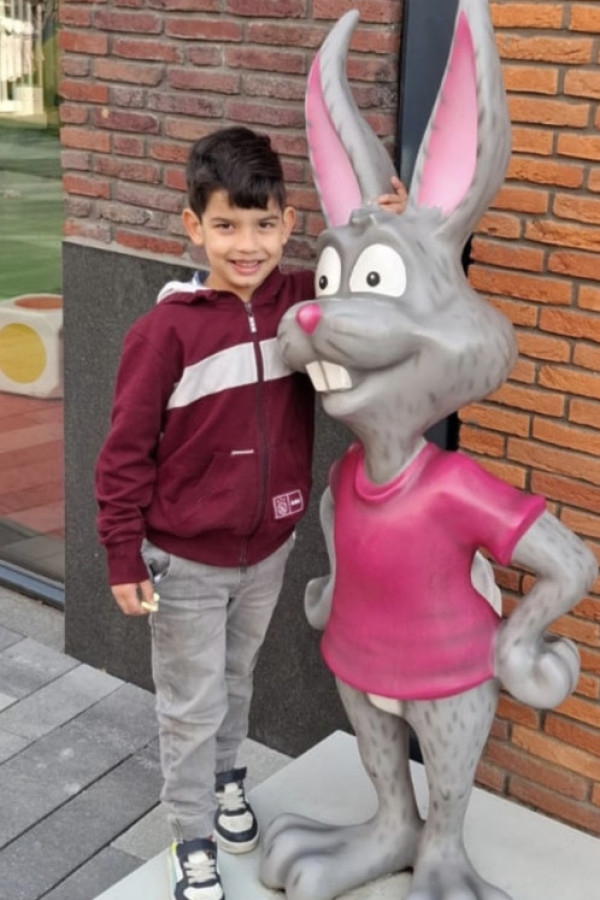 Bullet Models model ID: 20853