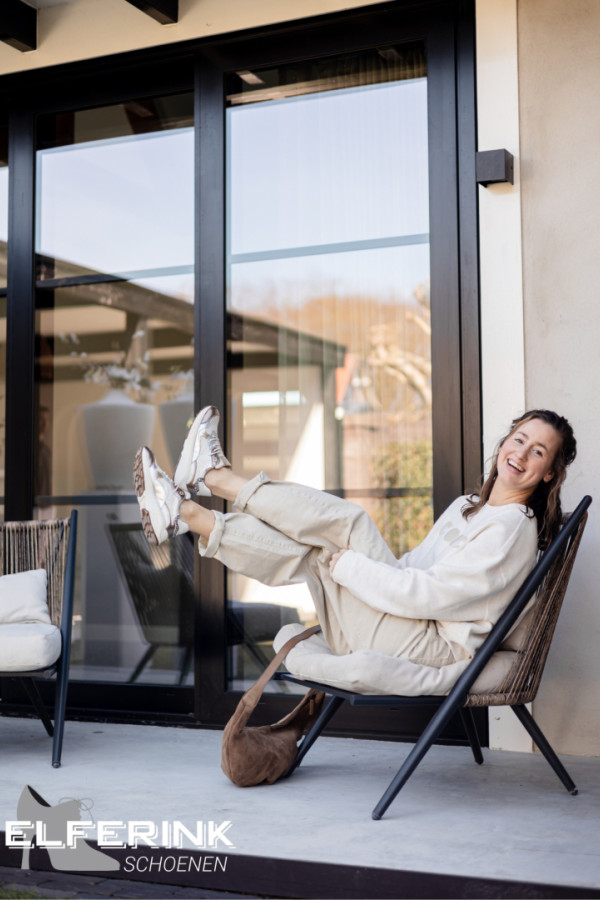 Bullet Models model ID: 19584