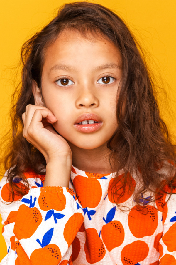 Bullet Models model ID: 20881