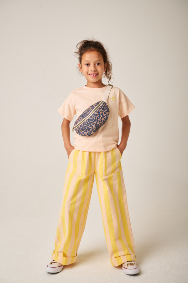 Bullet Models model ID: 20881