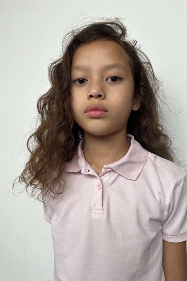 Bullet Models model ID: 20881