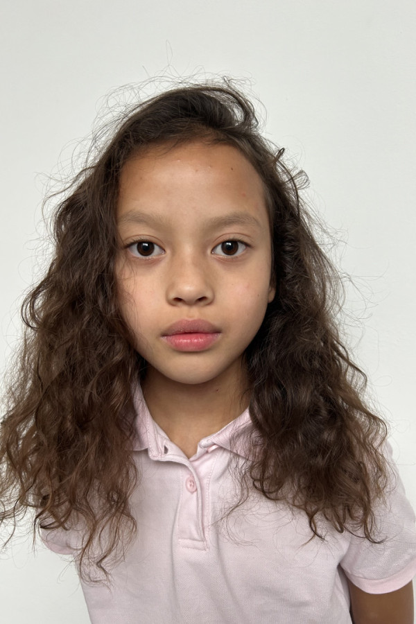 Bullet Models model ID: 20881