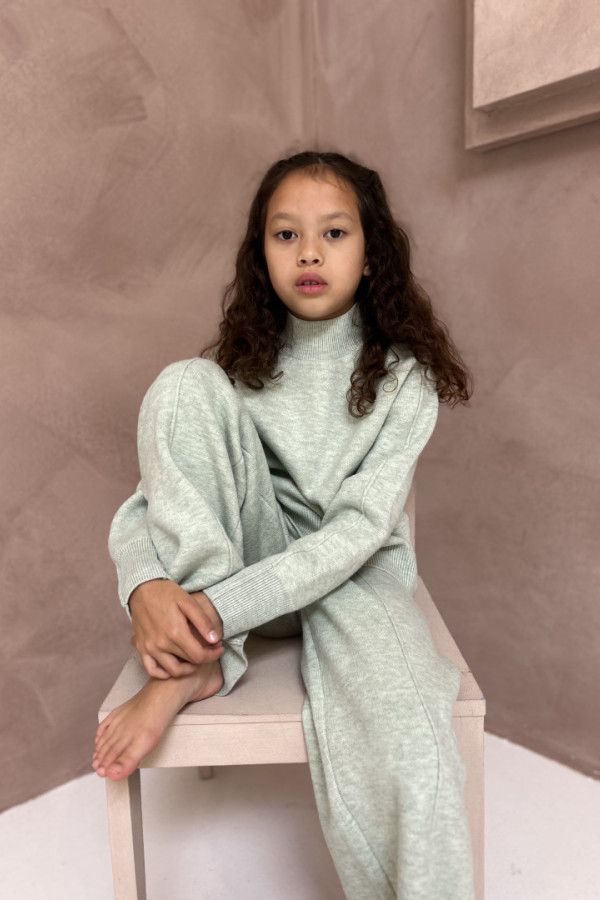 Bullet Models model ID: 20881