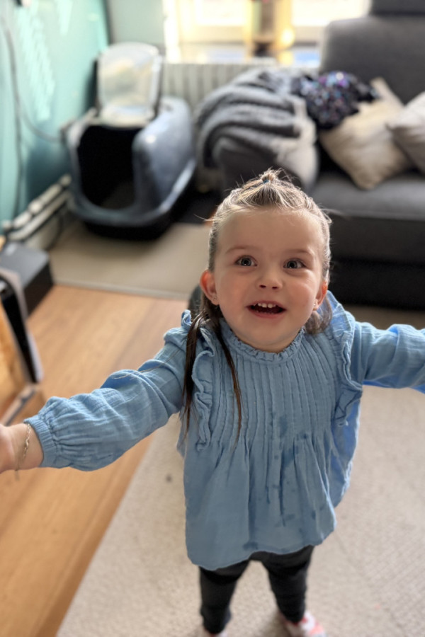 Bullet Models model ID: 20900