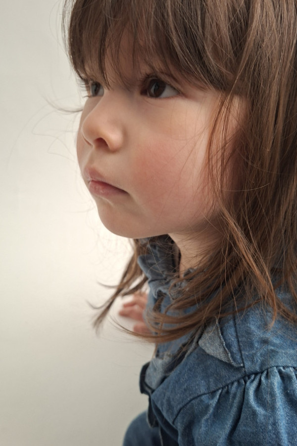 Bullet Models model ID: 18728