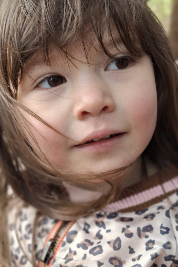 Bullet Models model ID: 18728