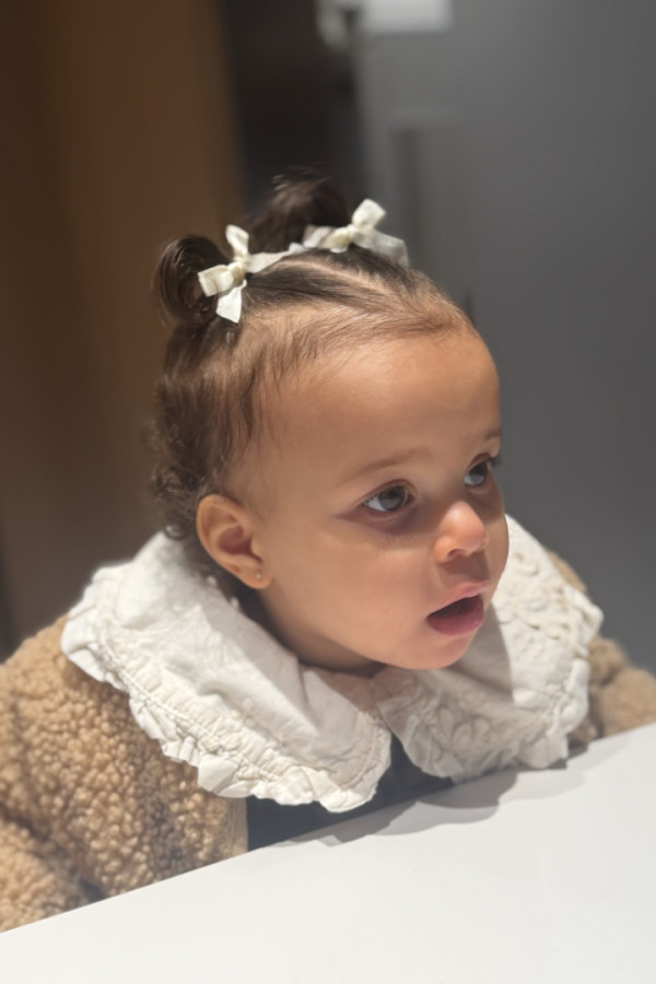 Bullet Models model ID: 20938