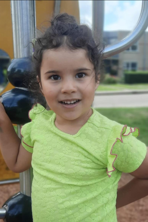 Bullet Models model ID: 20864