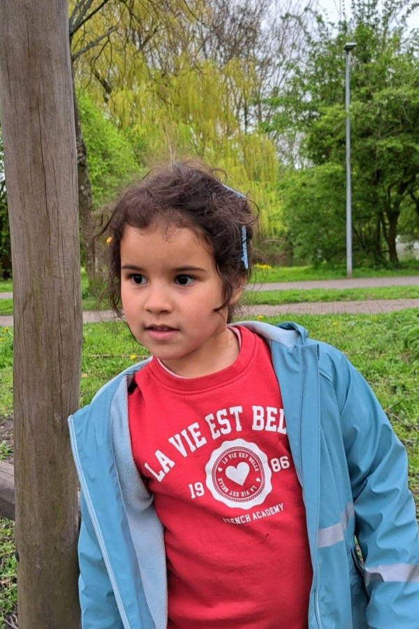 Bullet Models model ID: 20864