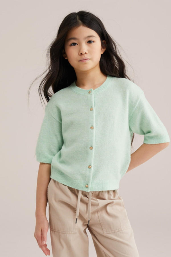 Bullet Models model ID: 17361