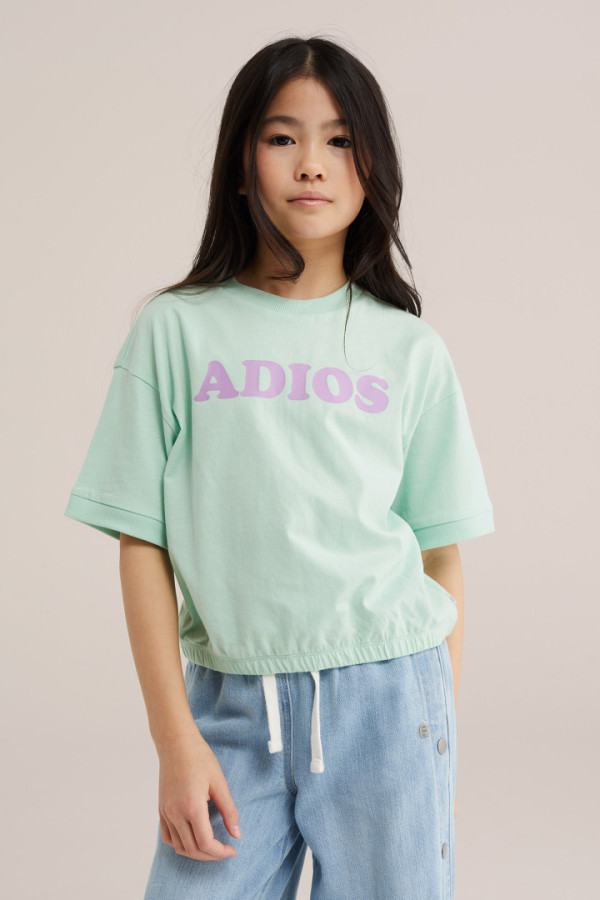 Bullet Models model ID: 17361