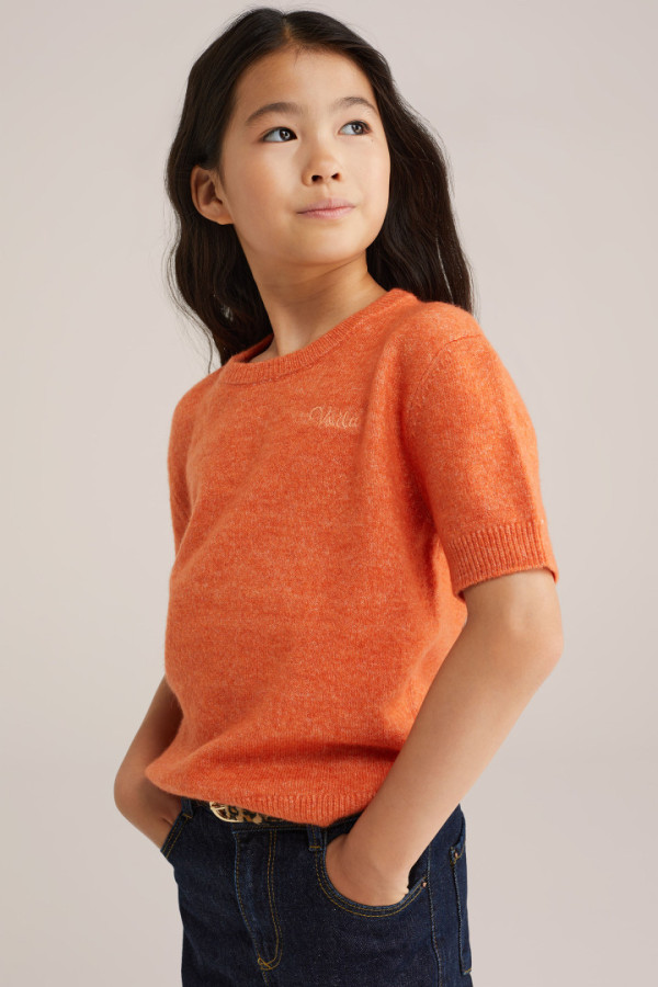 Bullet Models model ID: 17361